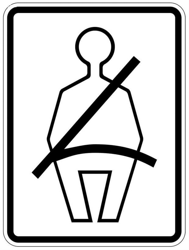 seatbelt9